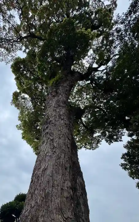 御塔生福寺の{uncategorized: "未分類", other: "その他", undefined: "問題あり", building: "その他建物", grave: "お墓", sacred_gate: "鳥居", guardian: "狛犬", statue: "像", buddha: "仏像", history: "歴史", nature: "自然", garden: "庭園", animal: "動物", pagoda: "塔", temizu: "手水舎", mountain_gate: "山門・神門", sanctuary: "本殿・本堂", subordinate: "末社・摂社", art: "芸術", scenery: "景色", jizo: "地蔵", ema: "絵馬", goshuin: "御朱印", omikuji: "おみくじ", items: "授与品その他", amulet: "お守り", goshuincho: "御朱印帳", eats: "食事", festival: "お祭り", votive_dance: "神楽", shichigosan: "七五三参", wedding: "結婚式", experience: "体験その他", initially: "初詣", around: "周辺", anti_infection: "感染症対策"}