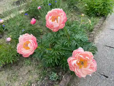 慈眼寺(愛知県)