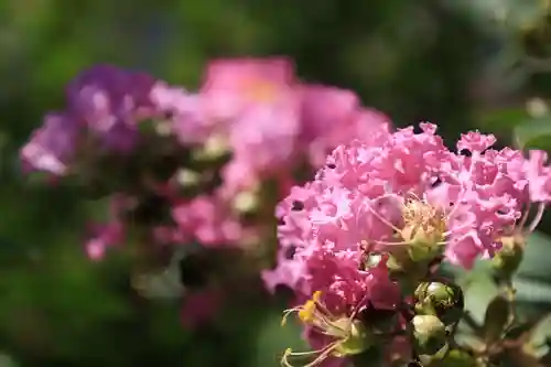 當麻寺中之坊(奈良県)