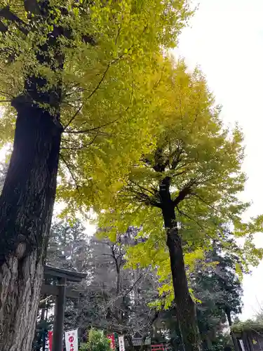 大神神社(栃木県)