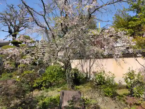 円光院(東京都)