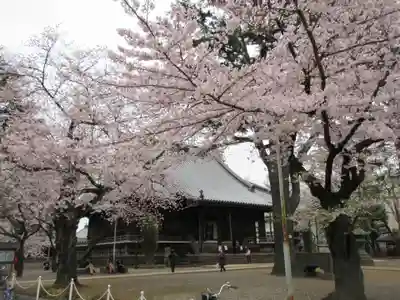 寛永寺(根本中堂)のその他建物