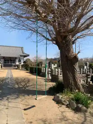 法福寺(千葉県)