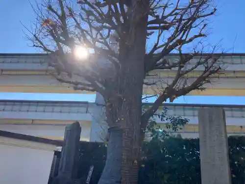 勧行寺(神奈川県)