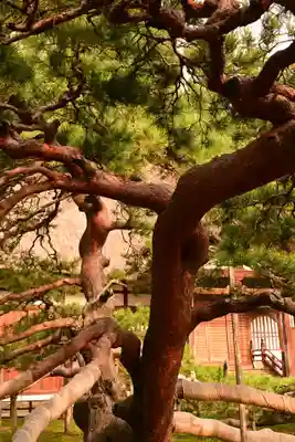 常楽寺(長野県)