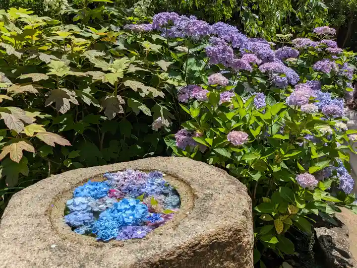 長谷寺(神奈川県)