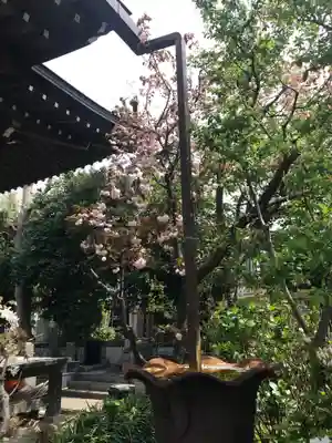 教恩寺のその他建物