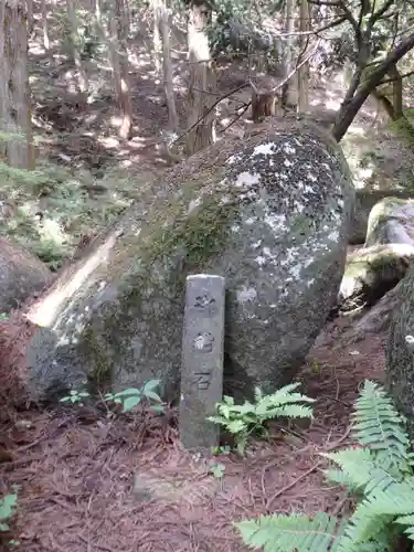 名草厳島神社の自然