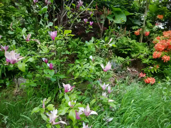 永山神社の自然
