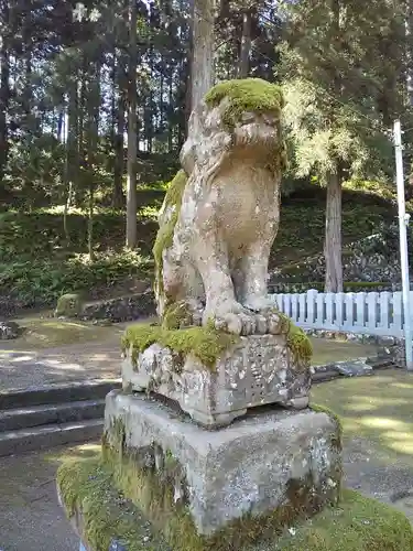 清瀧神社の狛犬