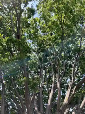 別雷皇太神(茨城県)