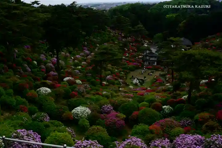 塩船観音寺の景色