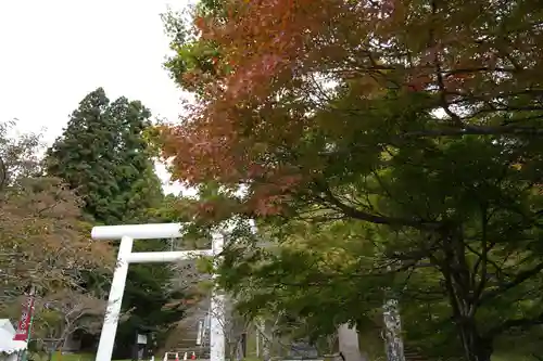 土津神社｜こどもと出世の神さまの鳥居