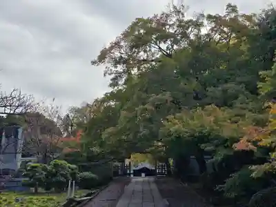 養源院(京都府)