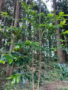 大宮温泉神社(栃木県)(2023年09月26日(火) 07時58分20秒投稿)