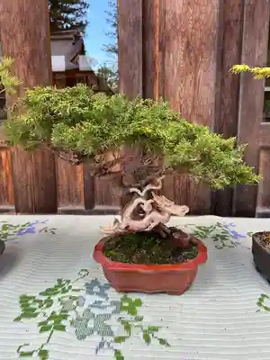 穂高神社本宮(長野県)