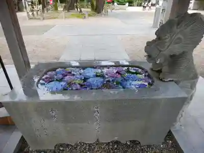 龍城神社の手水舎