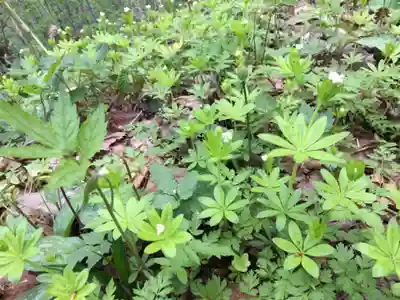 浦臼神社(北海道)