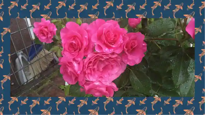 尾久八幡神社(東京都)