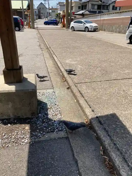 早吸日女神社(大分県)