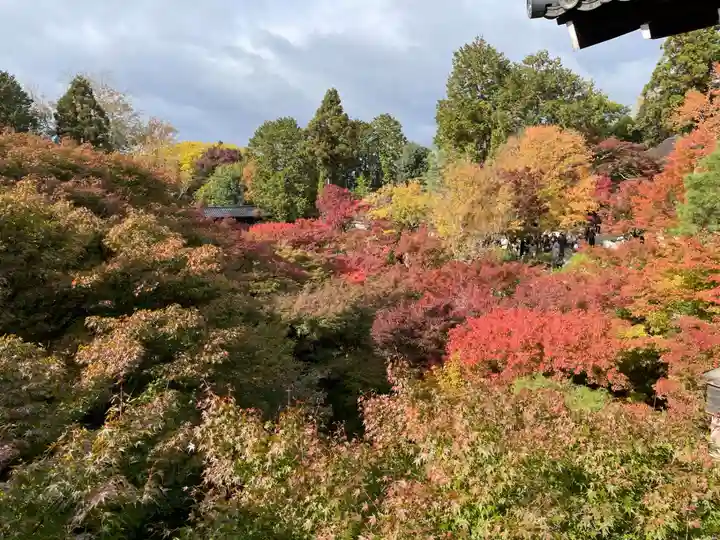 東福禅寺(東福寺)(京都府)