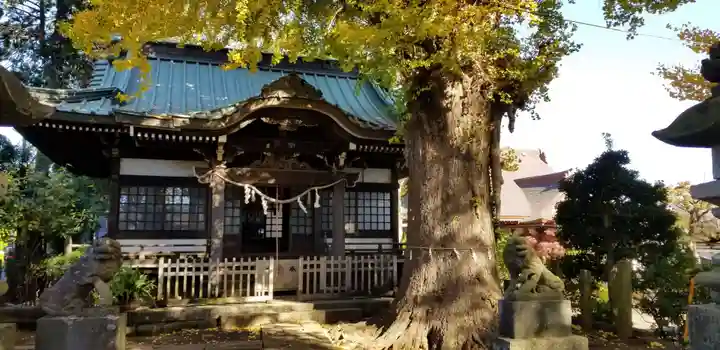 竜珠院の本殿・本堂