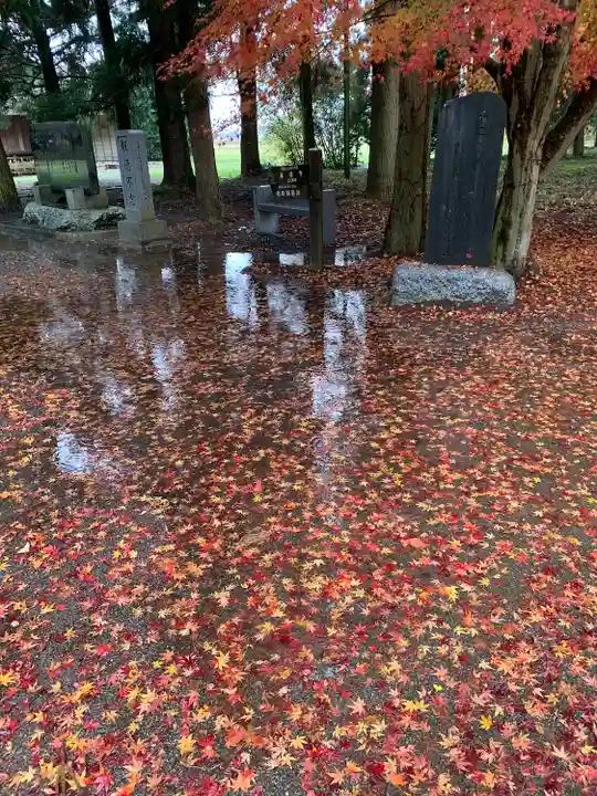 桜町二宮神社の自然