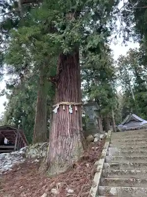赤瀧神社の{uncategorized: "未分類", other: "その他", undefined: "問題あり", building: "その他建物", grave: "お墓", sacred_gate: "鳥居", guardian: "狛犬", statue: "像", buddha: "仏像", history: "歴史", nature: "自然", garden: "庭園", animal: "動物", pagoda: "塔", temizu: "手水舎", mountain_gate: "山門・神門", sanctuary: "本殿・本堂", subordinate: "末社・摂社", art: "芸術", scenery: "景色", jizo: "地蔵", ema: "絵馬", goshuin: "御朱印", omikuji: "おみくじ", items: "授与品その他", amulet: "お守り", goshuincho: "御朱印帳", eats: "食事", festival: "お祭り", votive_dance: "神楽", shichigosan: "七五三参", wedding: "結婚式", experience: "体験その他", initially: "初詣", around: "周辺", anti_infection: "感染症対策"}
