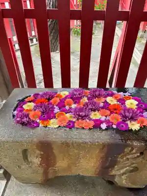 白山神社(新潟県)