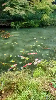 根道神社(岐阜県)