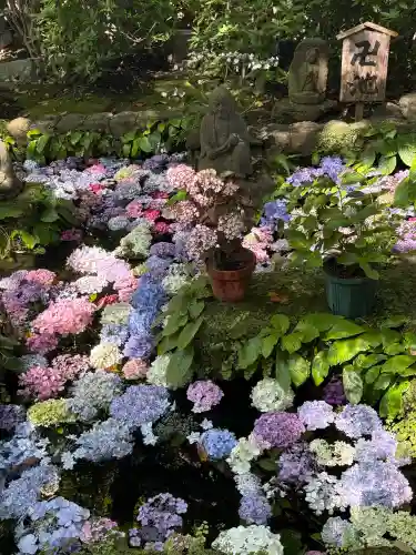 長谷寺(神奈川県)