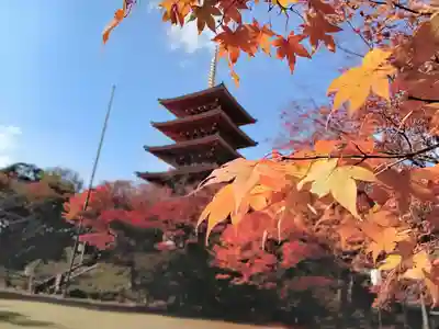 成相寺(京都府)