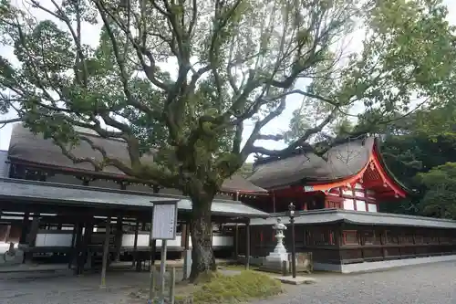 宗像大社の本殿・本堂