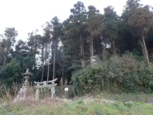 天手長比賣神社跡の自然