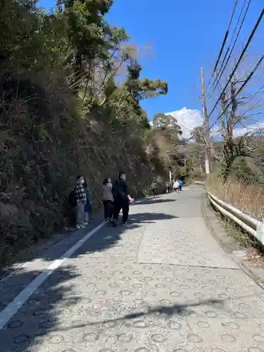 銭洗弁財天宇賀福神社(神奈川県)