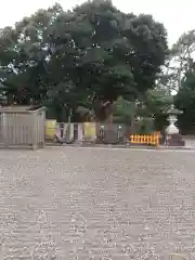 鶴峰八幡神社(千葉県)