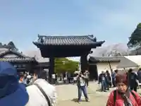 三宝院(三宝院門跡)(京都府)