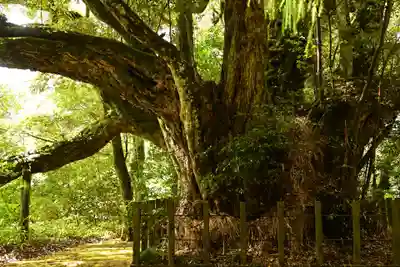 志多備神社(島根県)