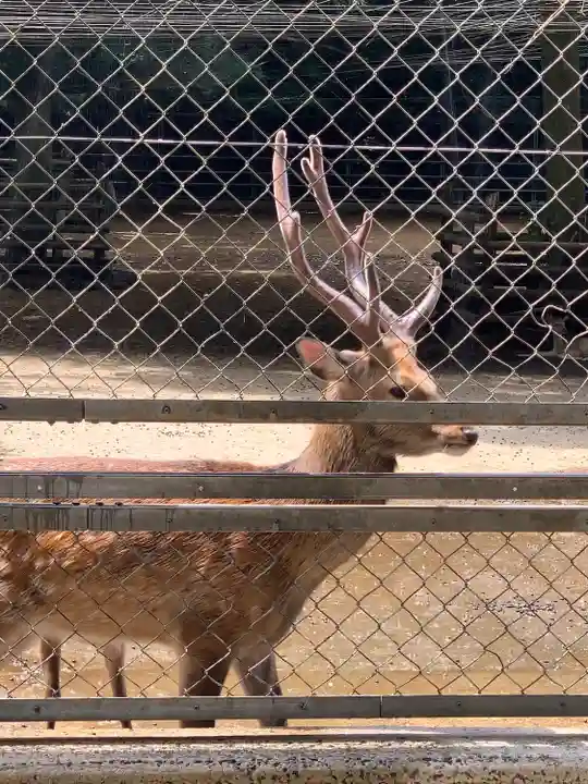鹿島神宮(茨城県)