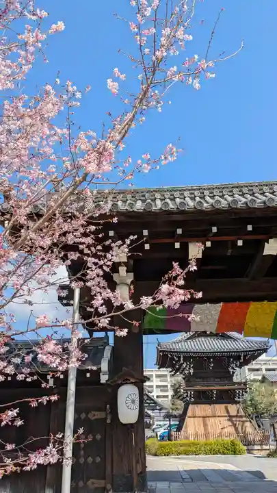 妙蓮寺(京都府)