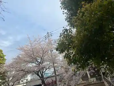 麻布氷川神社(東京都)
