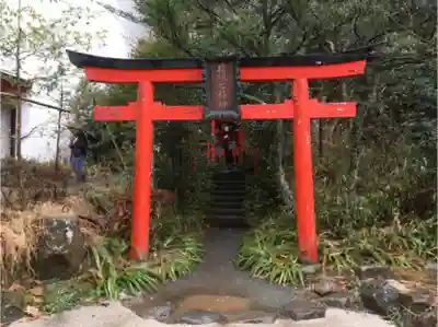 箱根神社の鳥居