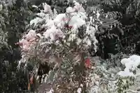 帳附神社の自然