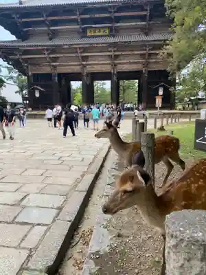 東大寺(奈良県)