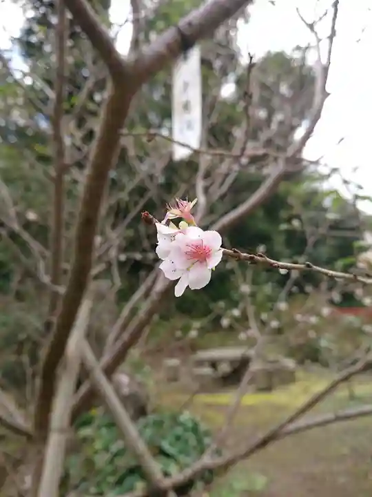 葛原岡神社の自然