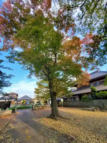 北斗寺(茨城県)