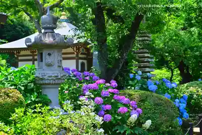 妙楽寺(神奈川県)