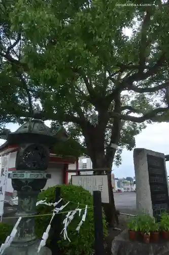 水戸東照宮(茨城県)