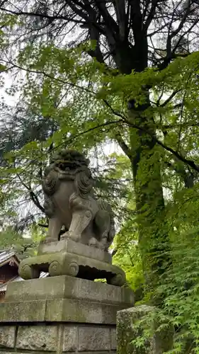 和歌山縣護國神社の狛犬