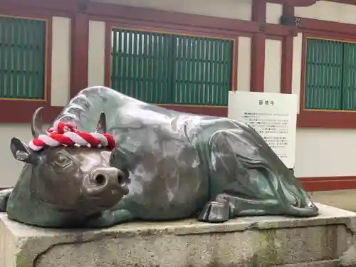 太宰府天満宮の狛犬